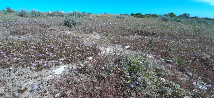 0 Bedroom Property for Sale in Jacobsbaai Western Cape